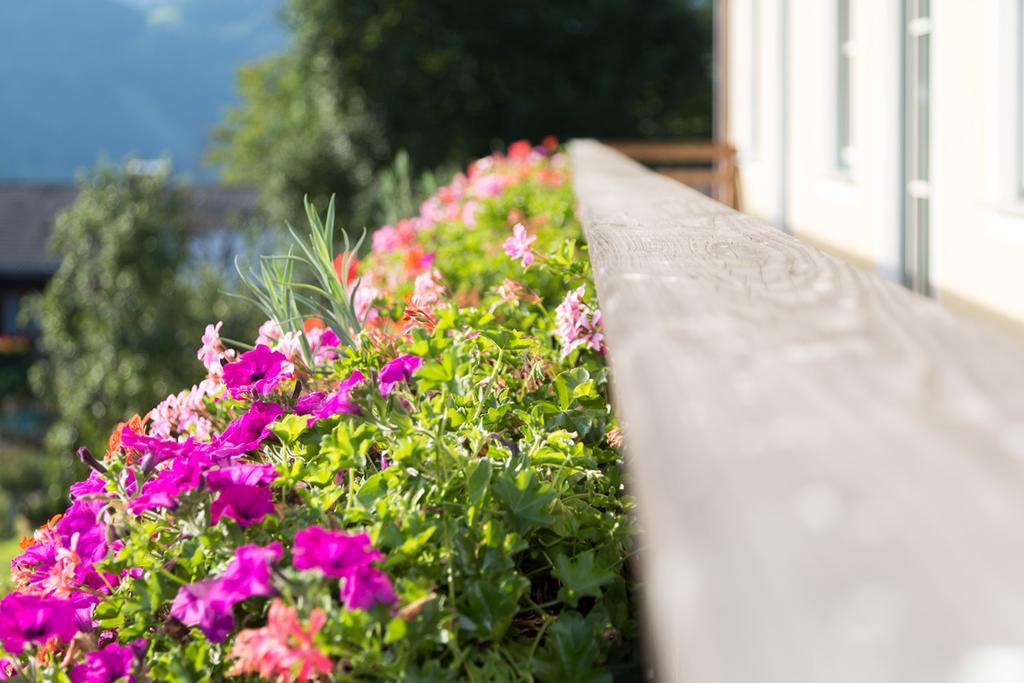 Bio-Bauernhof Einberghof Apartment Pfarrwerfen Exterior photo